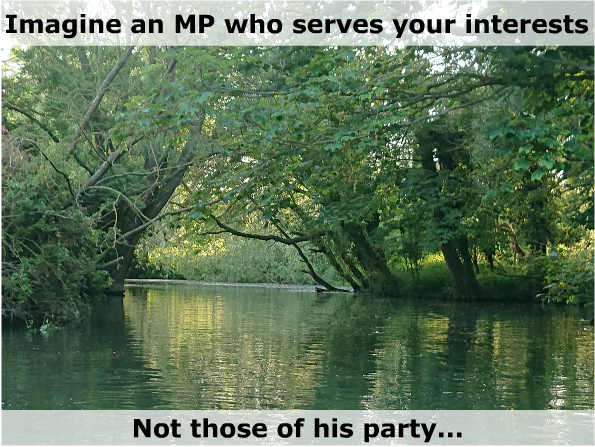 Imagine an MP who serves your interests, not those of his party